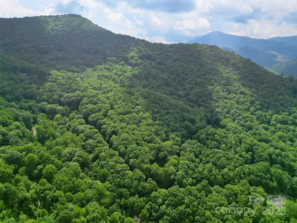 00 Promiseland Road Canton, NC 28716