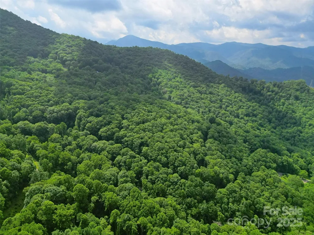 00 Promiseland Road Canton, NC 28716