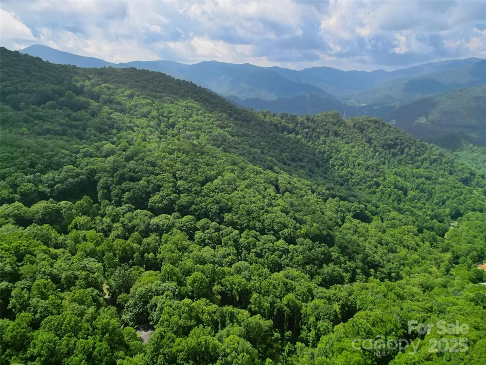 00 Promiseland Road Canton, NC 28716