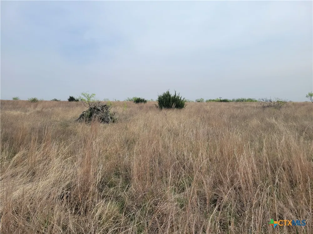 4453 County Road 619 Hamilton, TX 76531