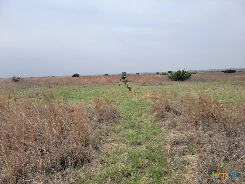 4453 County Road 619 Hamilton, TX 76531