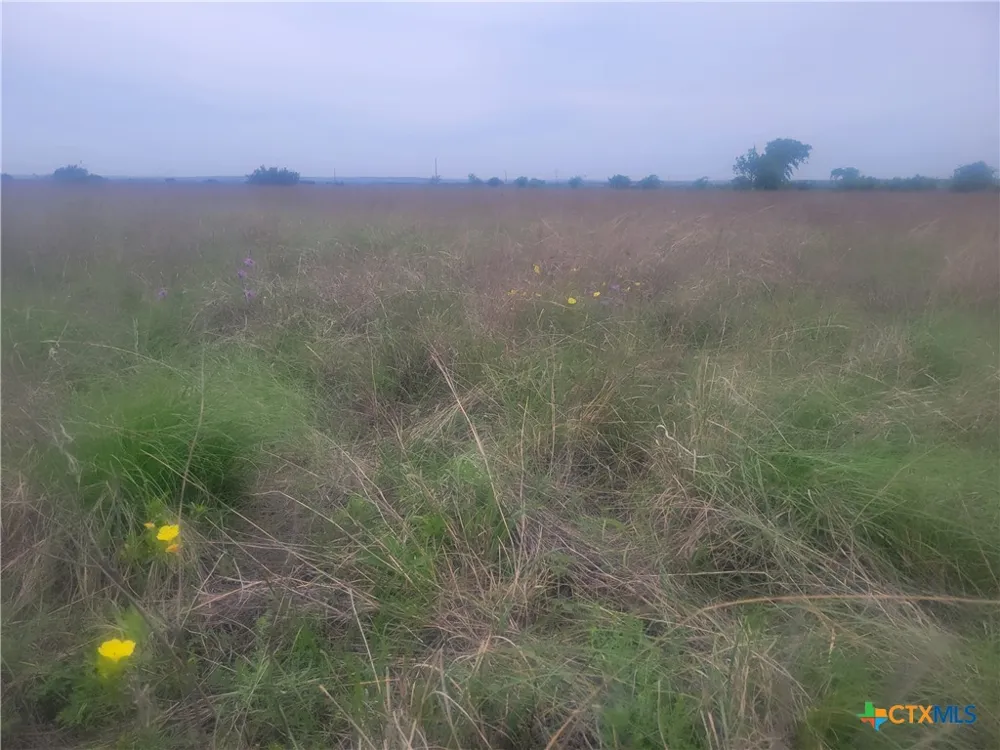 4453 County Road 619 Hamilton, TX 76531