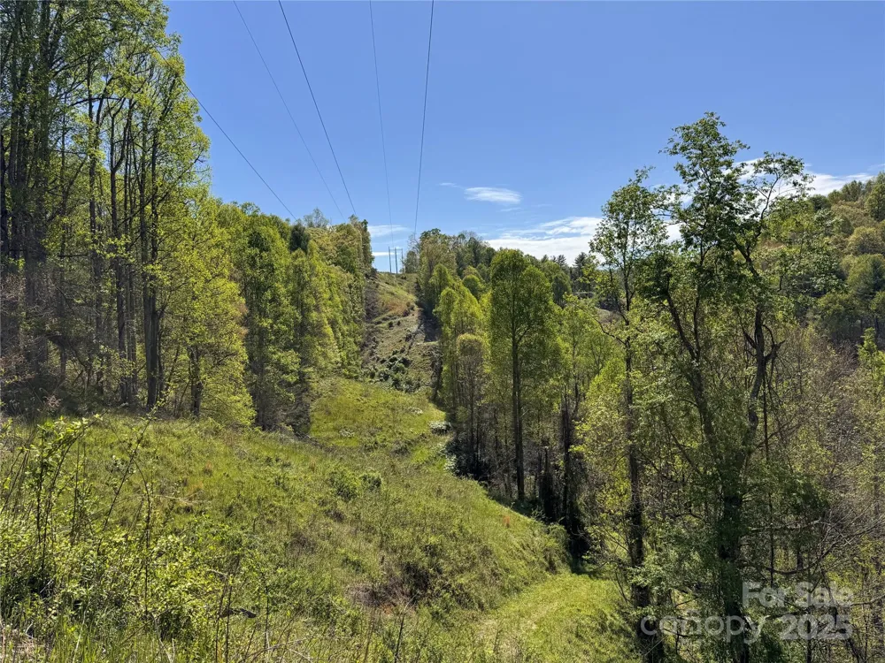 000 Relief Extension Green Mountain, NC 28740