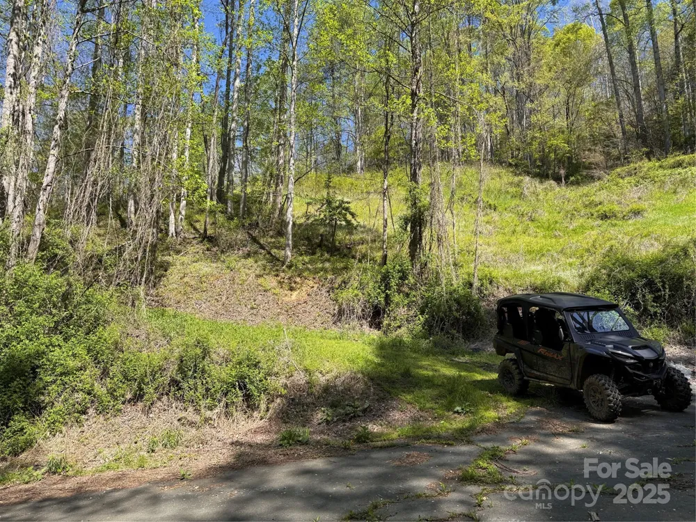 000 Relief Extension Green Mountain, NC 28740