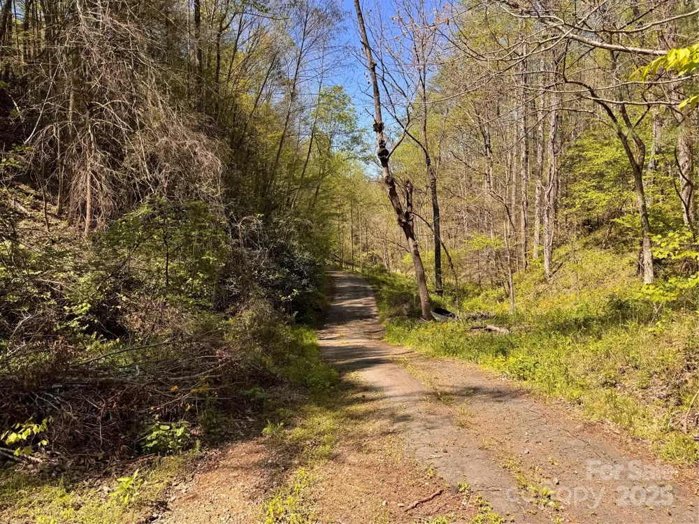 000 Relief Extension Green Mountain, NC 28740