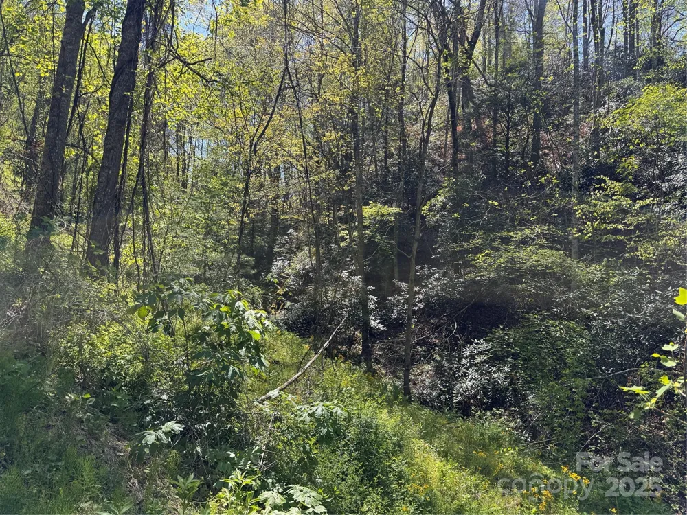 000 Relief Extension Green Mountain, NC 28740