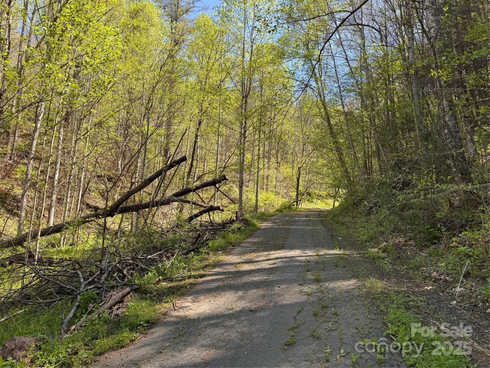 000 Relief Extension Green Mountain, NC 28740