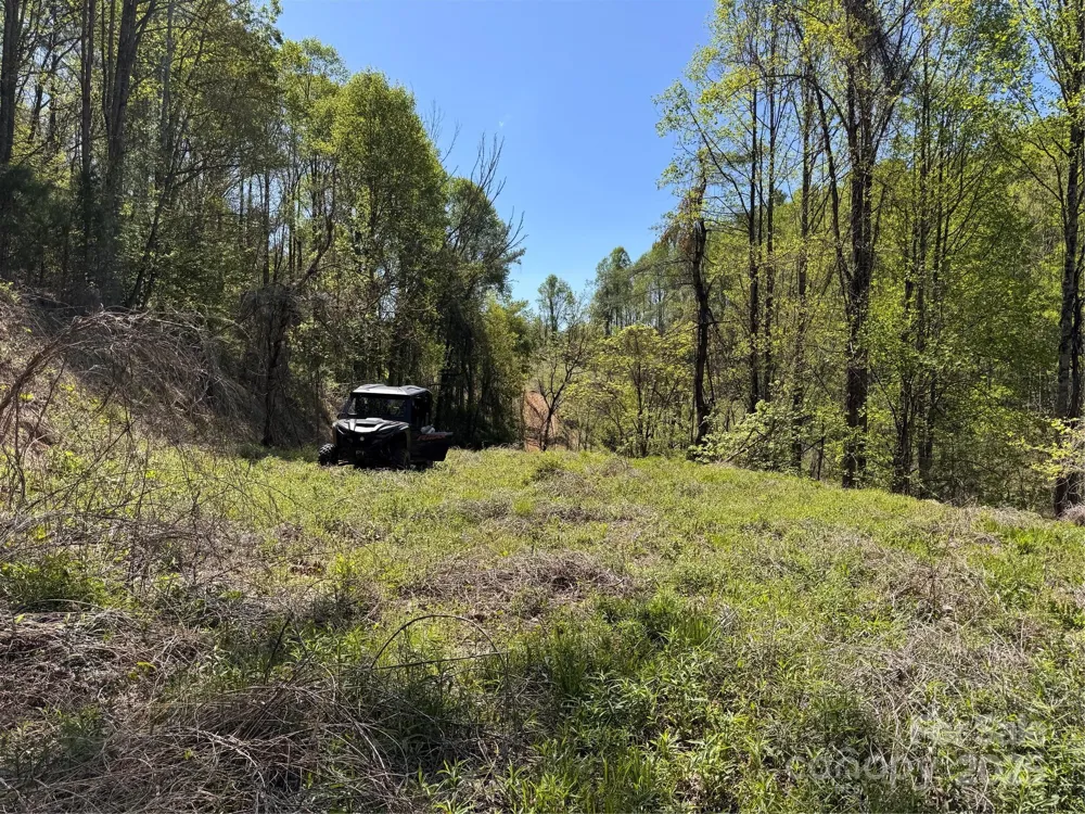 000 Relief Extension Green Mountain, NC 28740