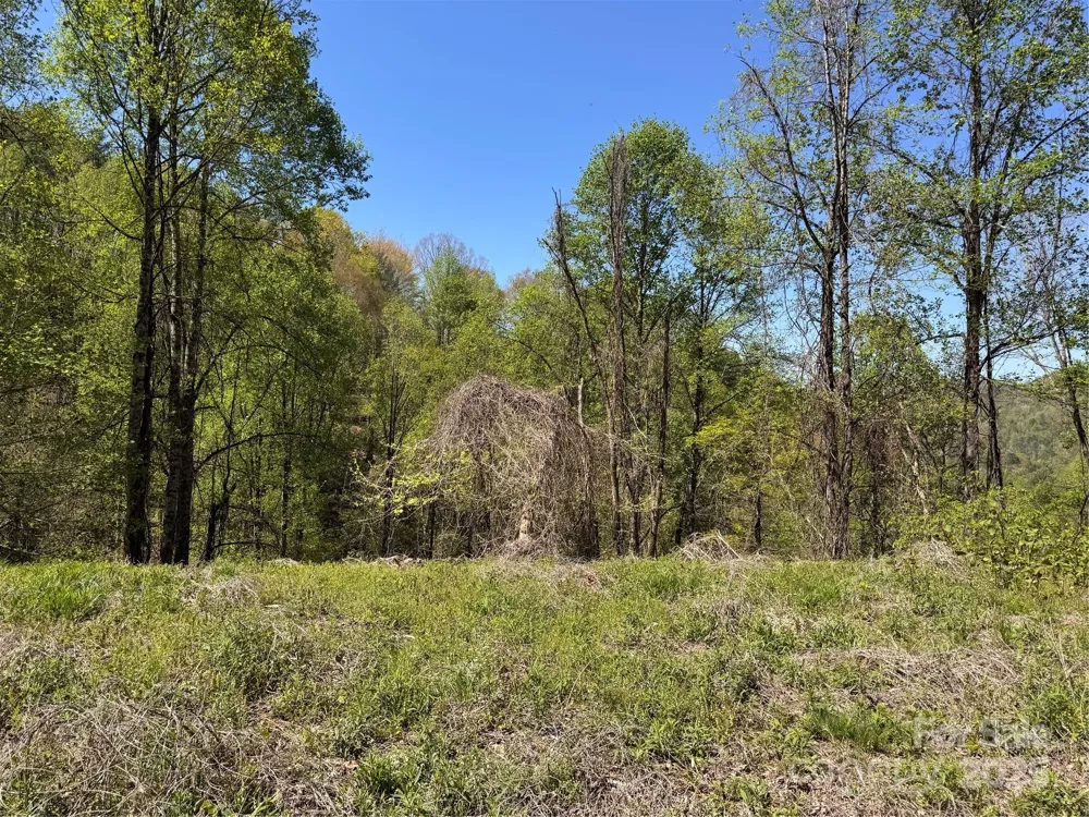 000 Relief Extension Green Mountain, NC 28740
