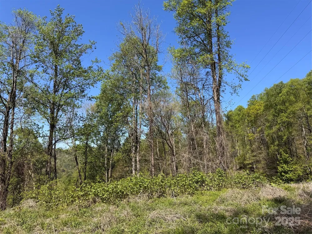 000 Relief Extension Green Mountain, NC 28740