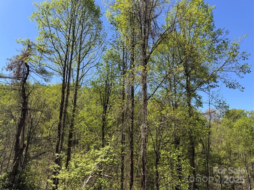 000 Relief Extension Green Mountain, NC 28740
