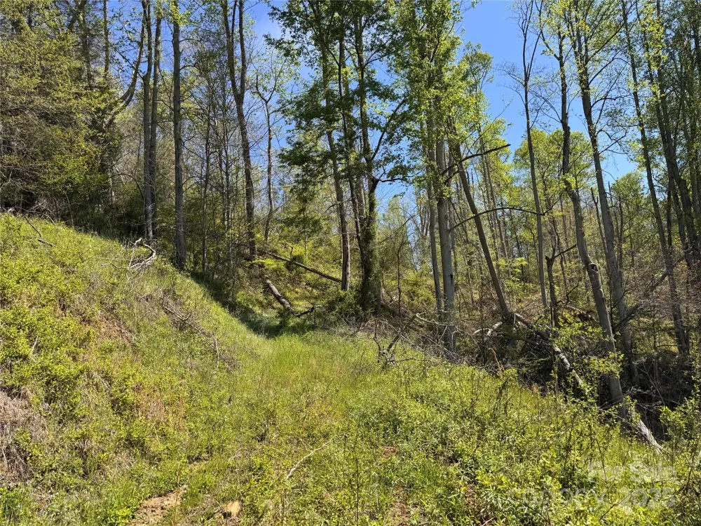 000 Relief Extension Green Mountain, NC 28740