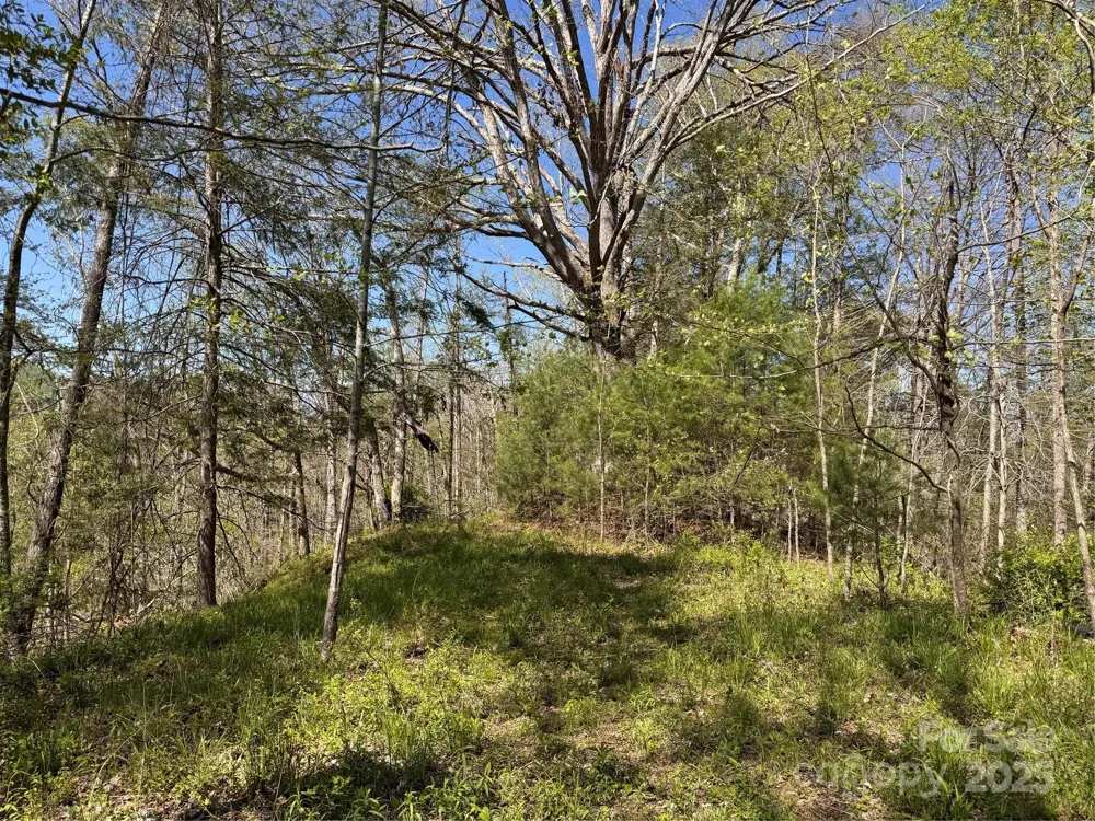 000 Relief Extension Green Mountain, NC 28740