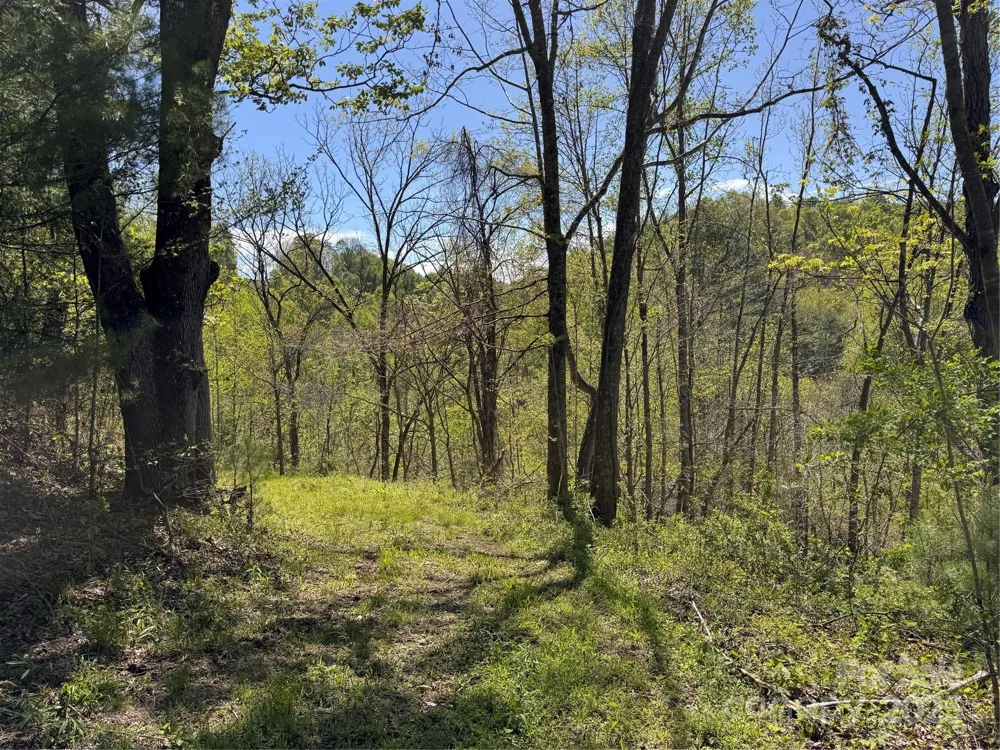 000 Relief Extension Green Mountain, NC 28740