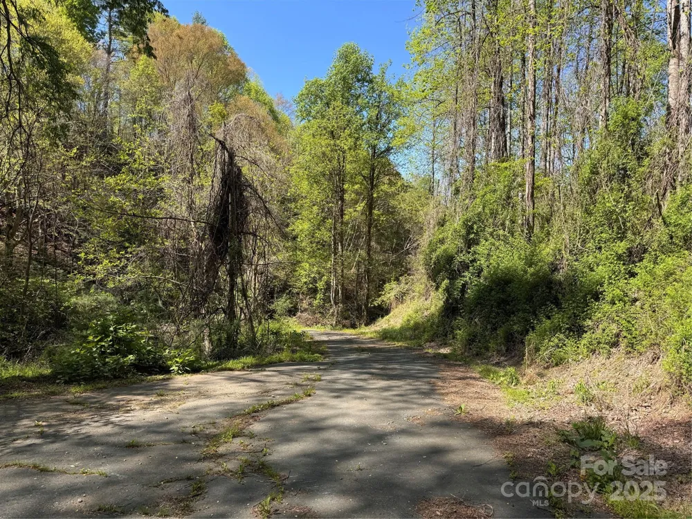 000 Relief Extension Green Mountain, NC 28740