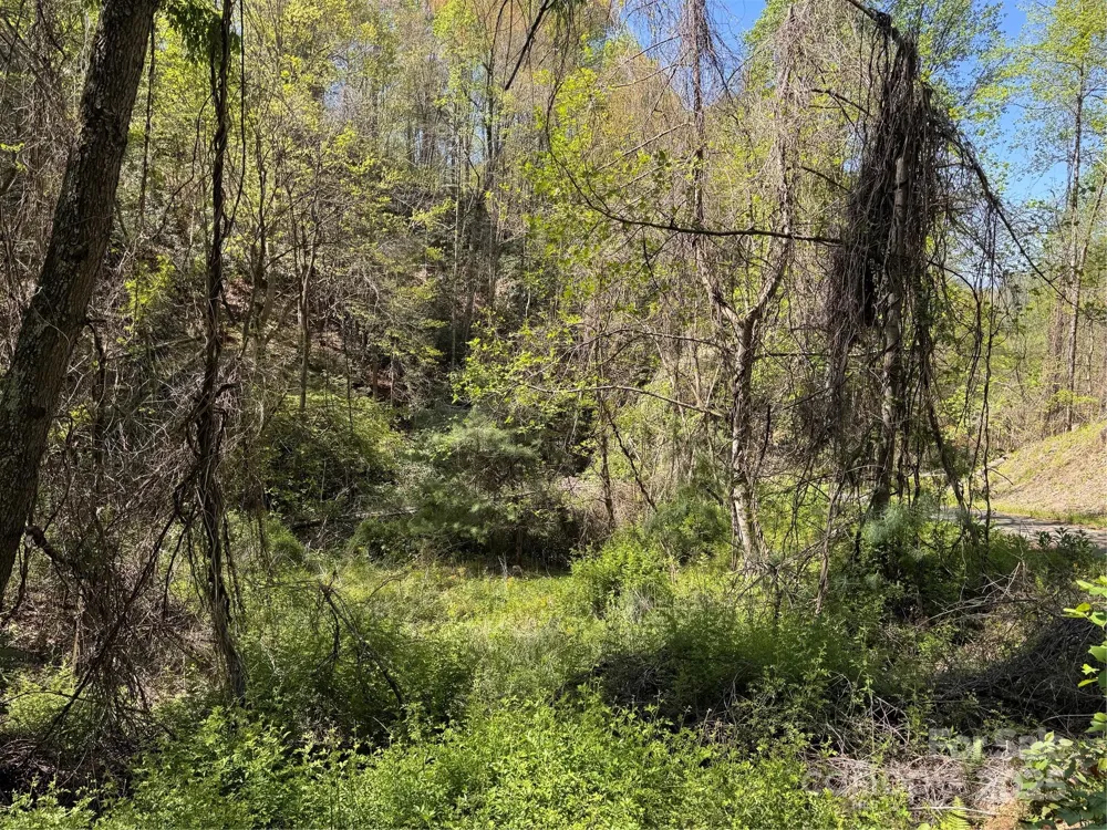 000 Relief Extension Green Mountain, NC 28740