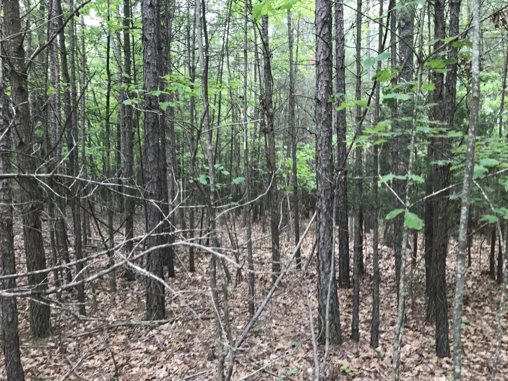 0 Bluffview Drive Dunlap, TN 37327