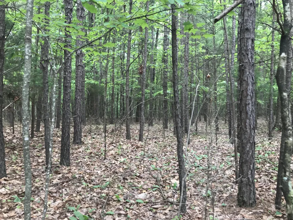 0 Bluffview Drive Dunlap, TN 37327