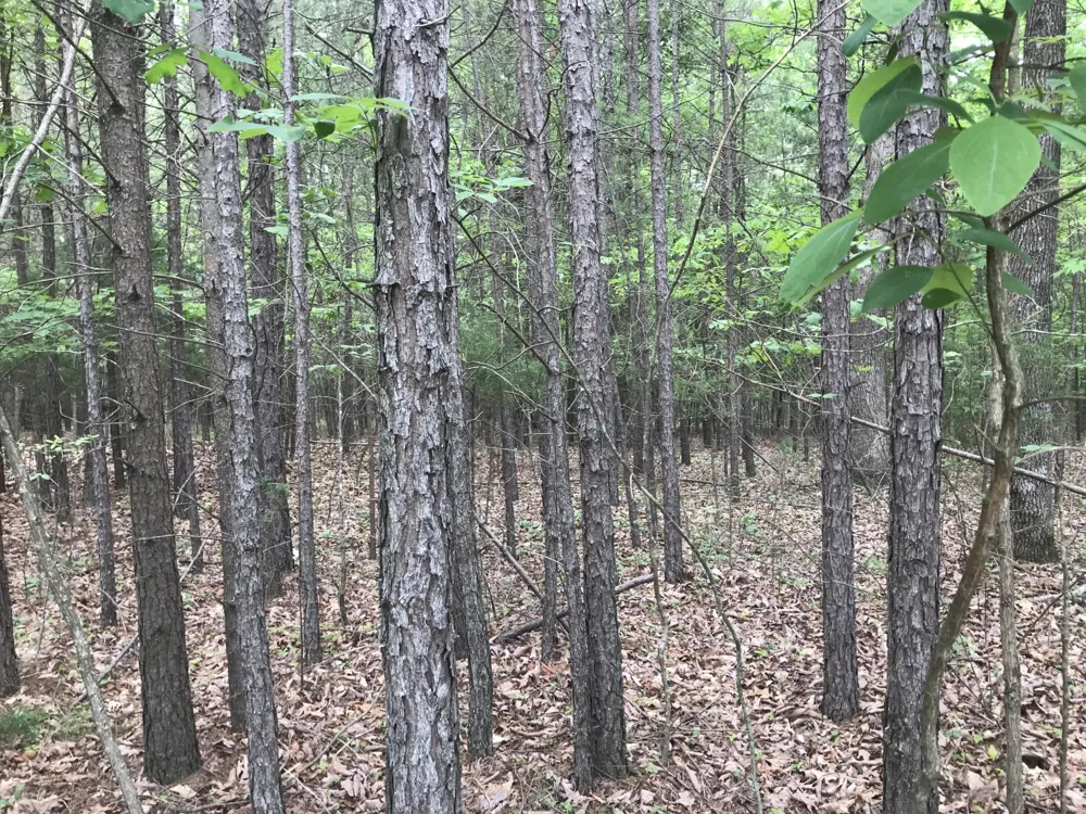 0 Bluffview Drive Dunlap, TN 37327
