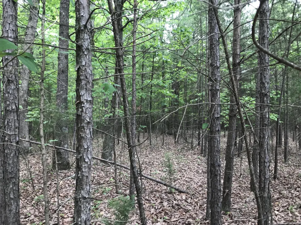 0 Bluffview Drive Dunlap, TN 37327