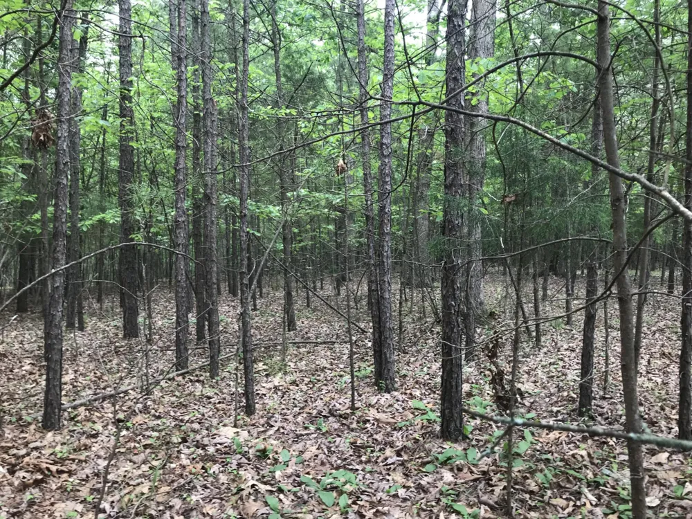 0 Bluffview Drive Dunlap, TN 37327