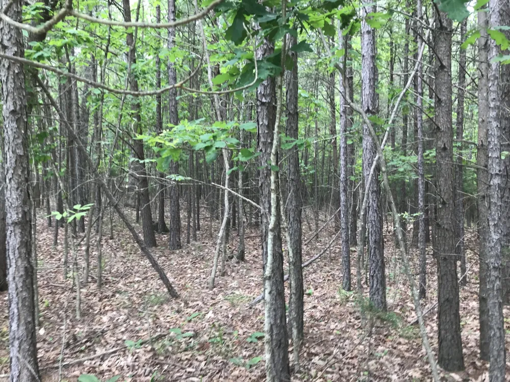 0 Bluffview Drive Dunlap, TN 37327