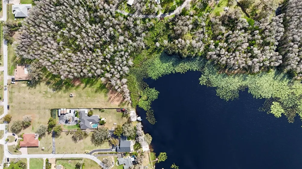 BLOUNT ROAD Lutz, FL 33558