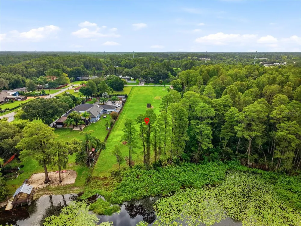 BLOUNT ROAD Lutz, FL 33558