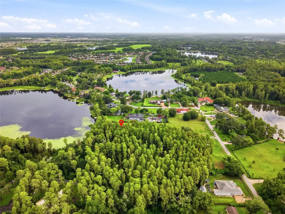BLOUNT ROAD Lutz, FL 33558