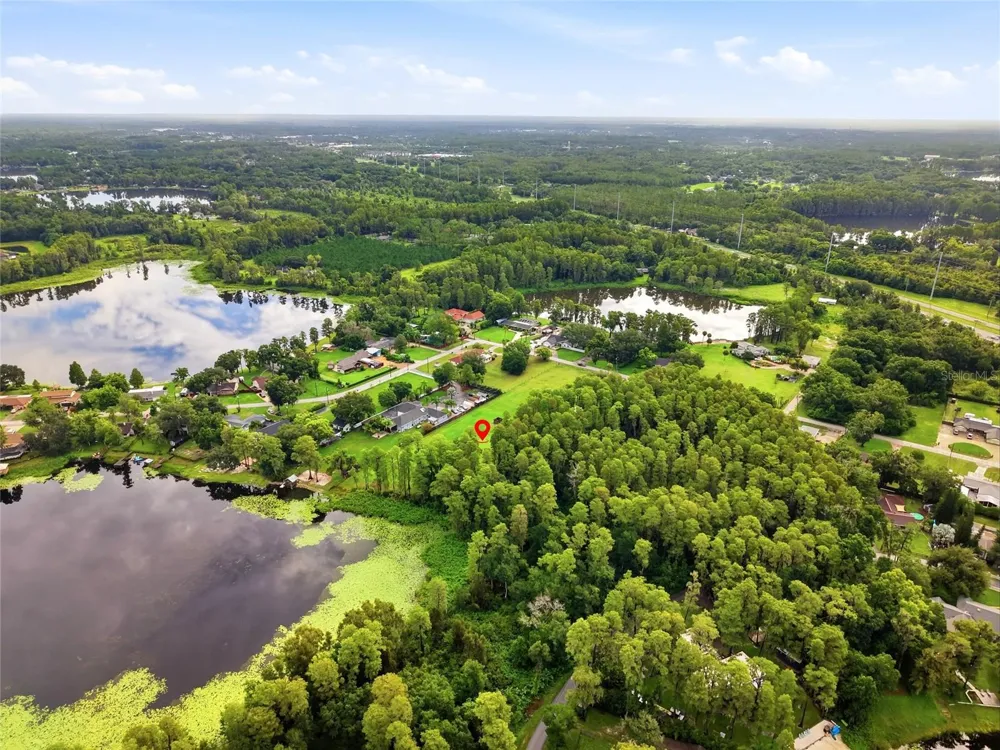 BLOUNT ROAD Lutz, FL 33558