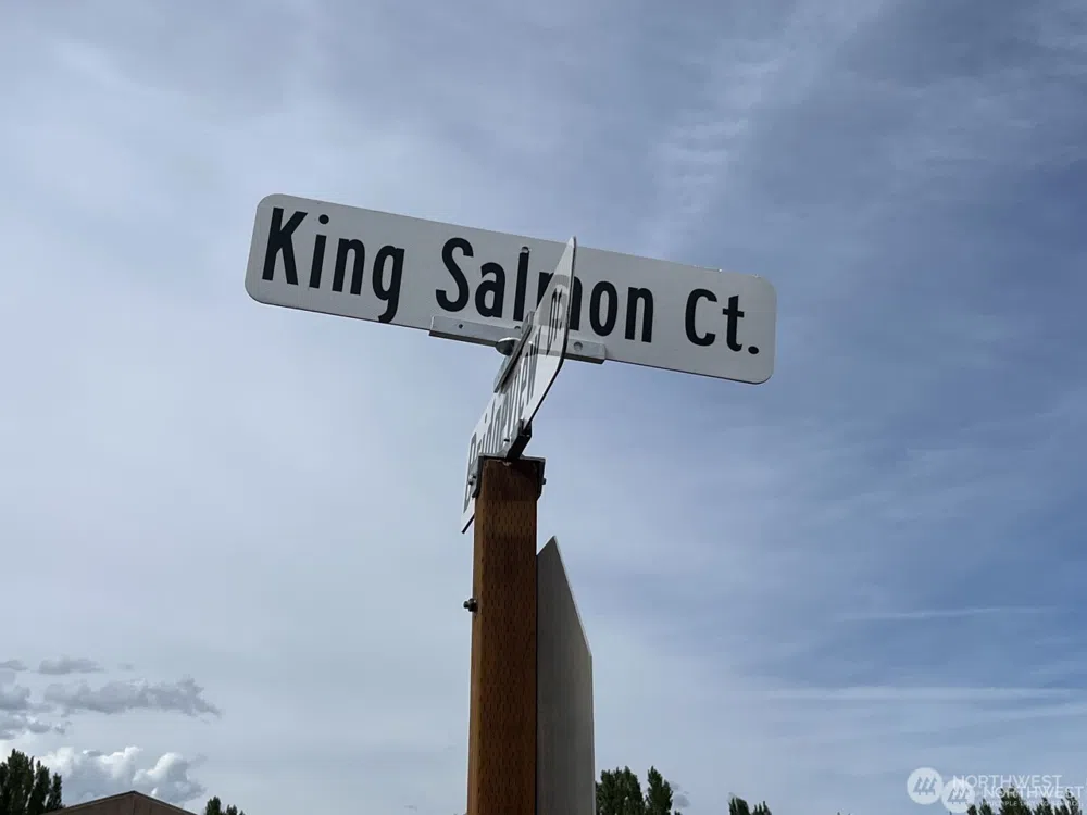 70 King Salmon Court Vantage, WA 98950