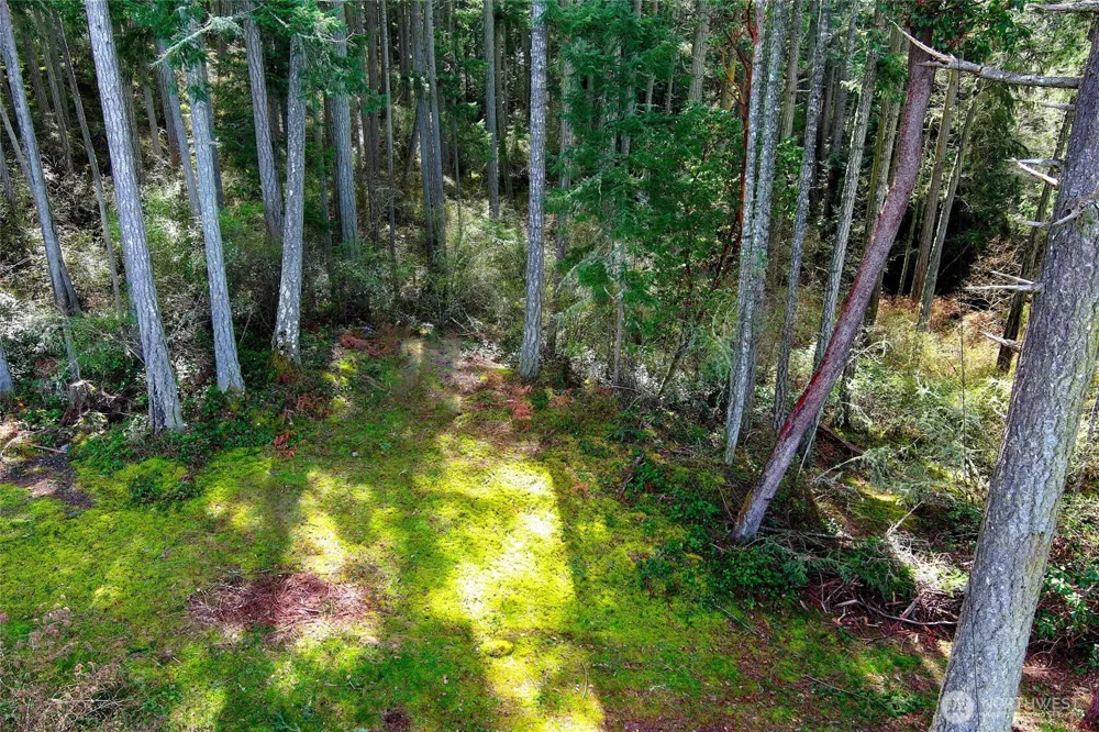 87 Conifer Lane Friday Harbor, WA 98250