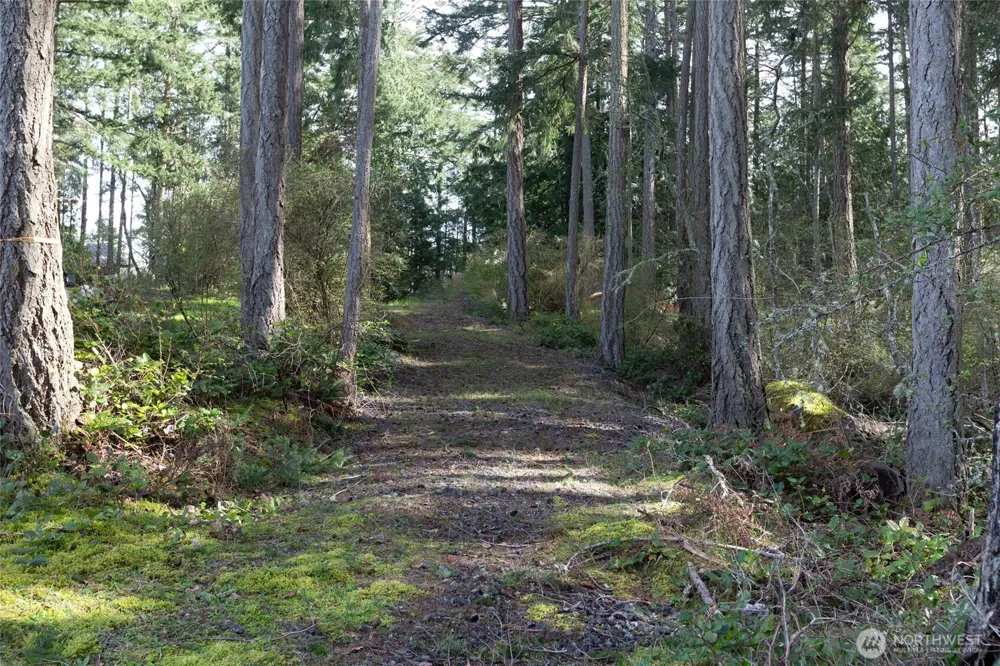 87 Conifer Lane Friday Harbor, WA 98250