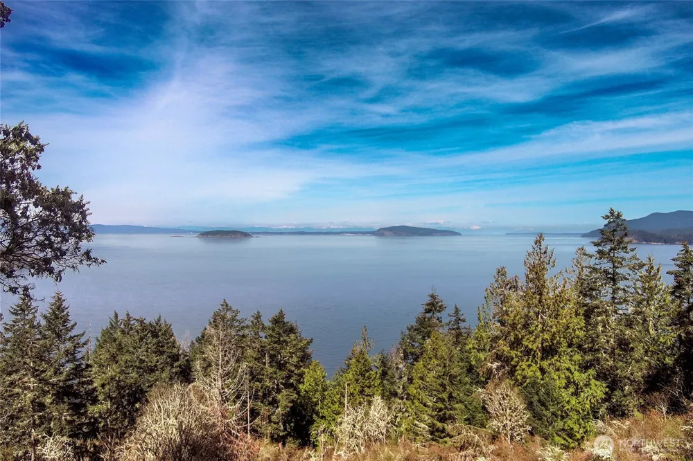 87 Conifer Lane Friday Harbor, WA 98250