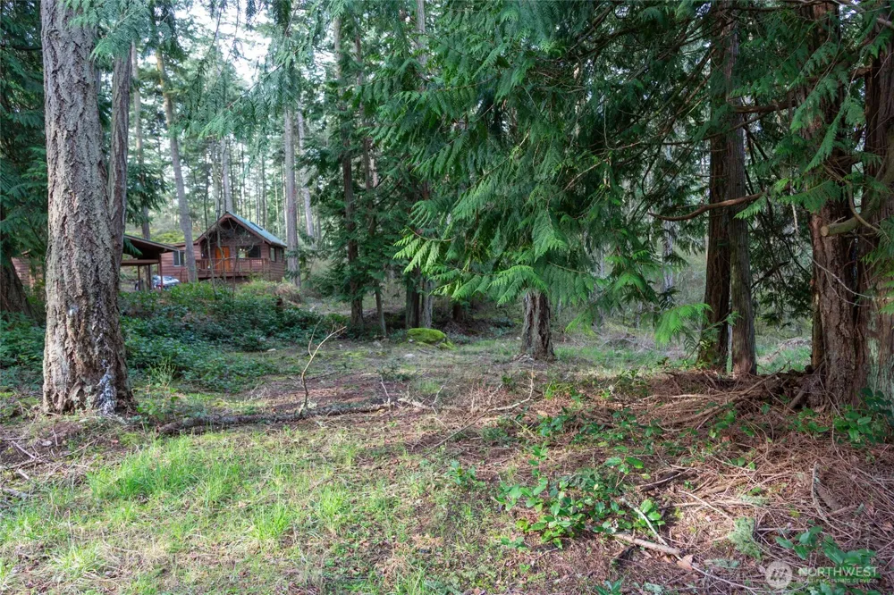 87 Conifer Lane Friday Harbor, WA 98250