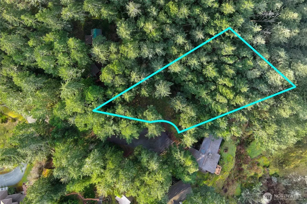 87 Conifer Lane Friday Harbor, WA 98250