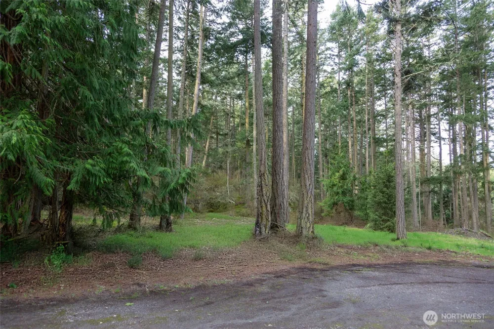 87 Conifer Lane Friday Harbor, WA 98250