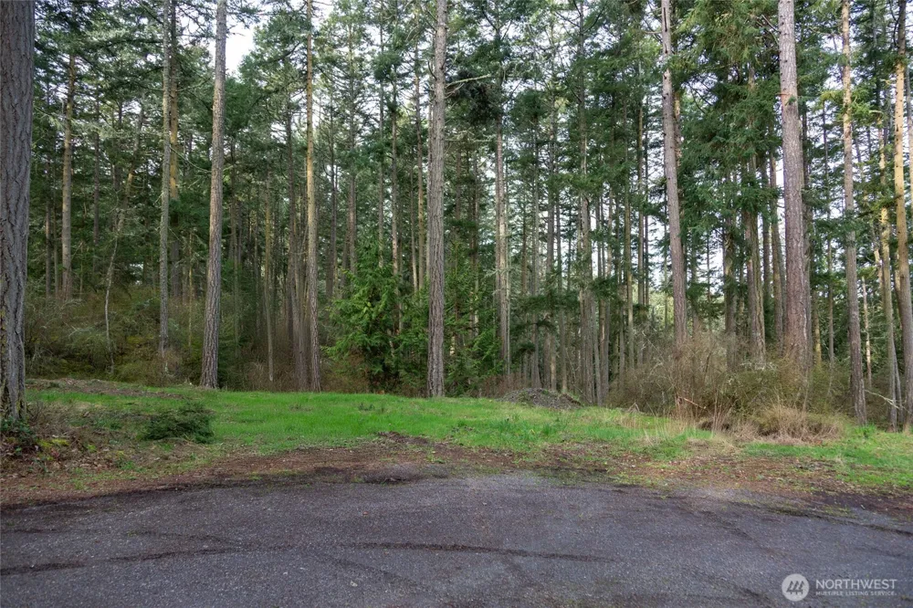 87 Conifer Lane Friday Harbor, WA 98250