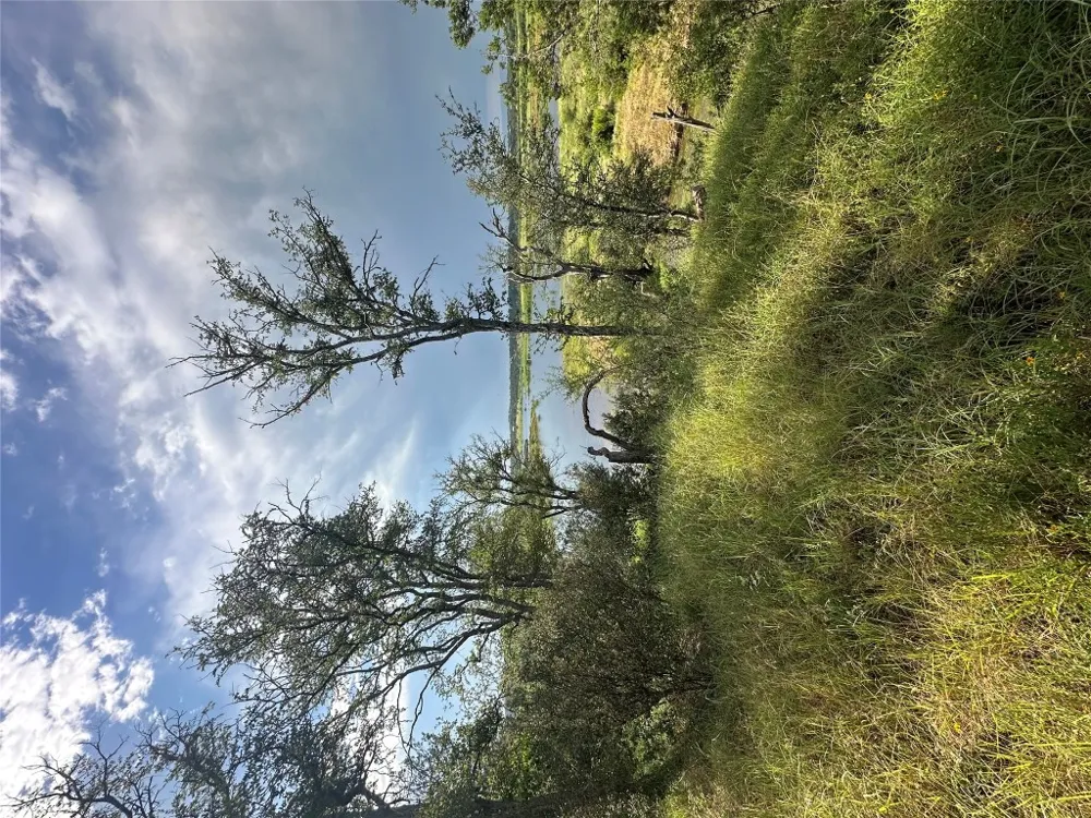 29 CHIMNEY COVE DRIVE Marble Falls, TX 78654