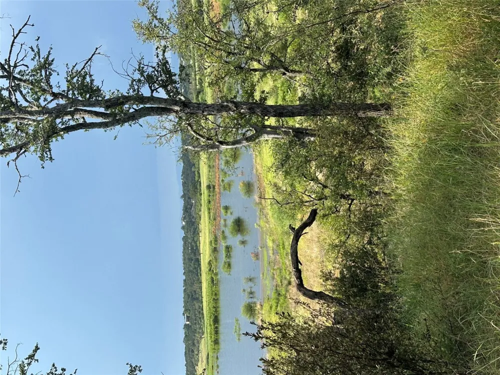 29 CHIMNEY COVE DRIVE Marble Falls, TX 78654