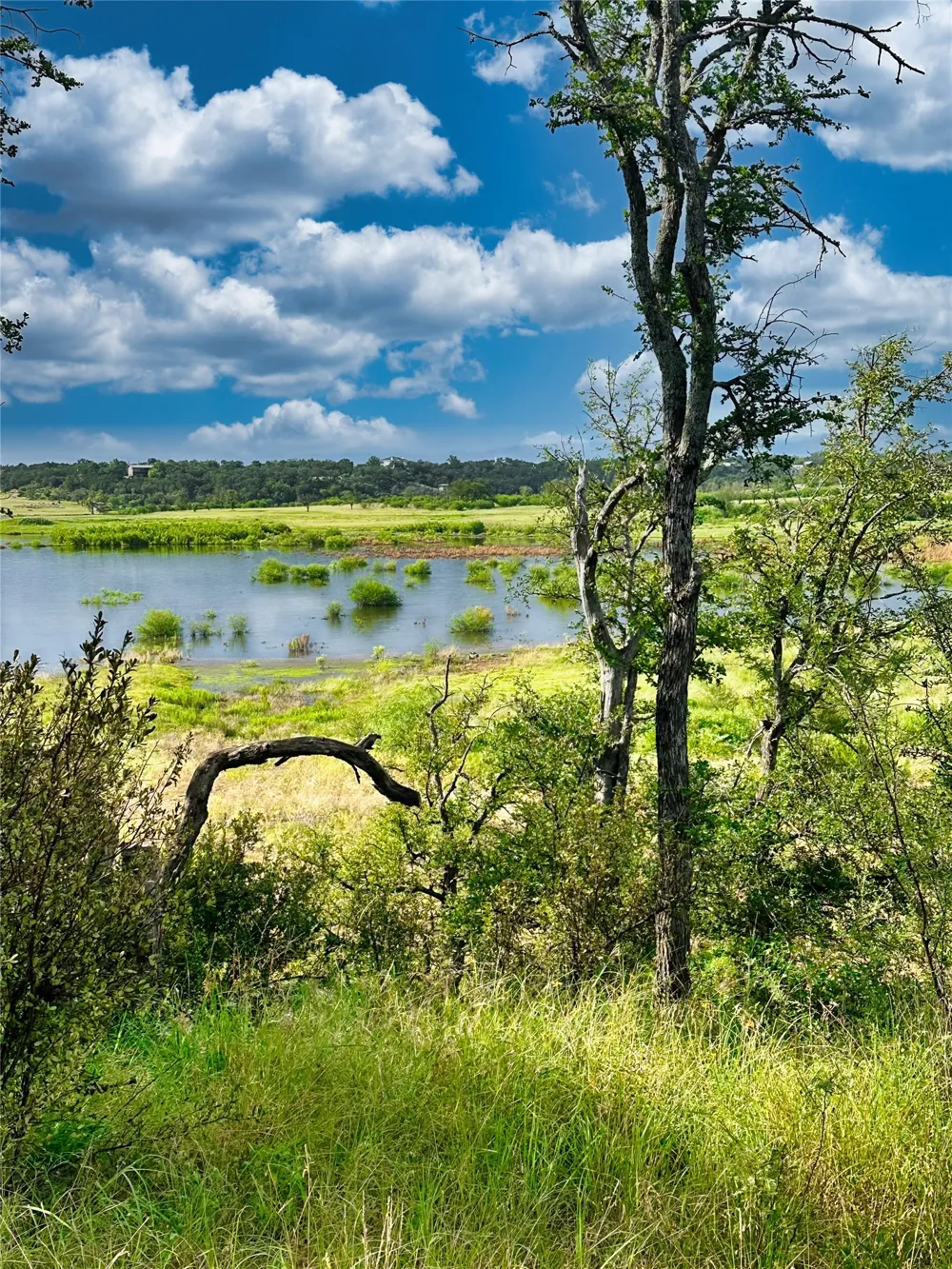 29 CHIMNEY COVE DRIVE Marble Falls, TX 78654