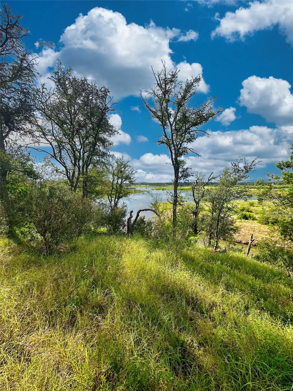 29 CHIMNEY COVE DRIVE Marble Falls, TX 78654