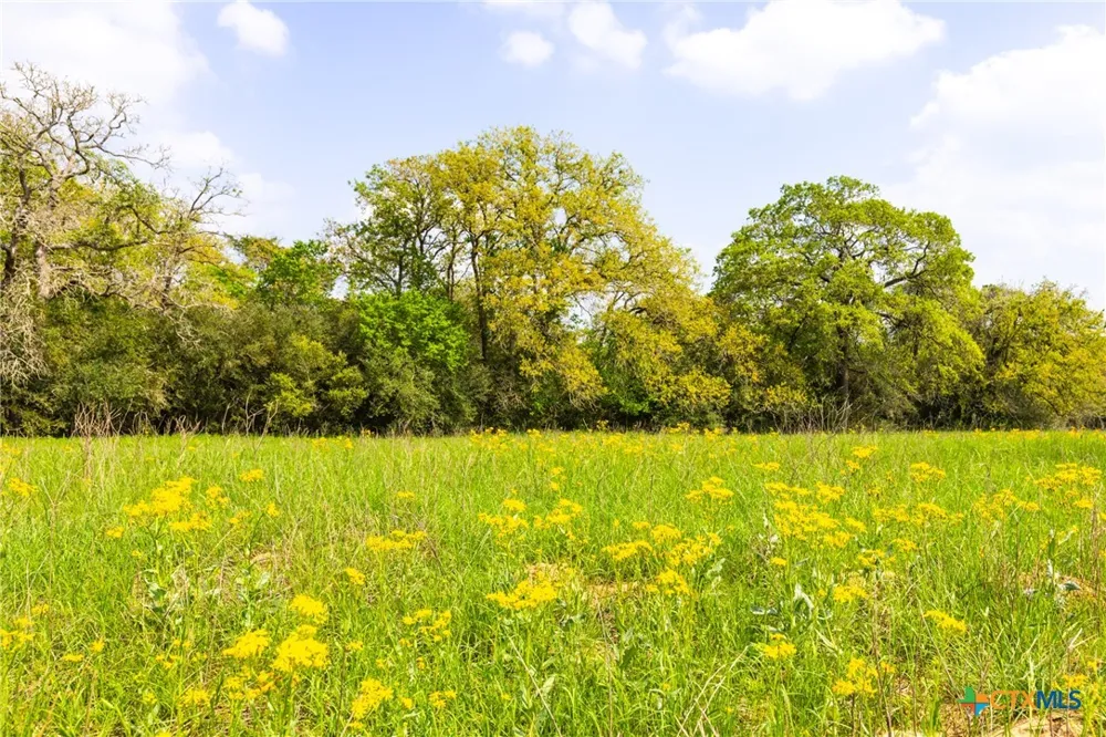 50 Acres Hwy 304 Harwood, TX 78632