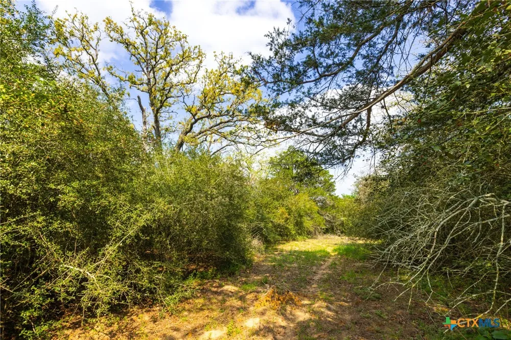50 Acres Hwy 304 Harwood, TX 78632