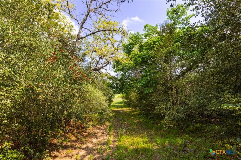 50 Acres Hwy 304 Harwood, TX 78632