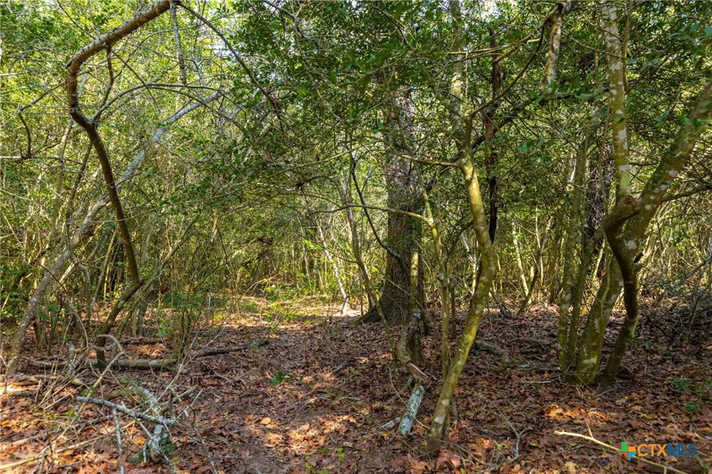 50 Acres Hwy 304 Harwood, TX 78632