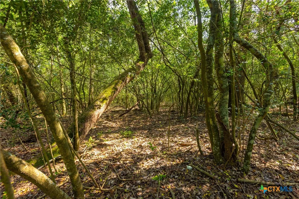 50 Acres Hwy 304 Harwood, TX 78632