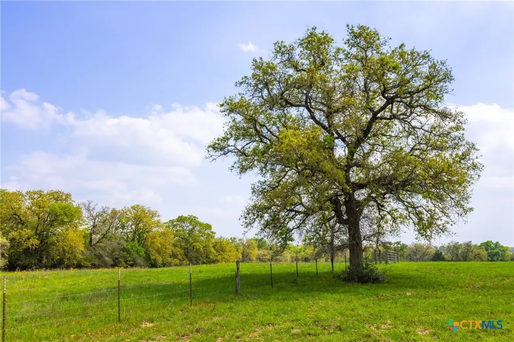 50 Acres Hwy 304 Harwood, TX 78632