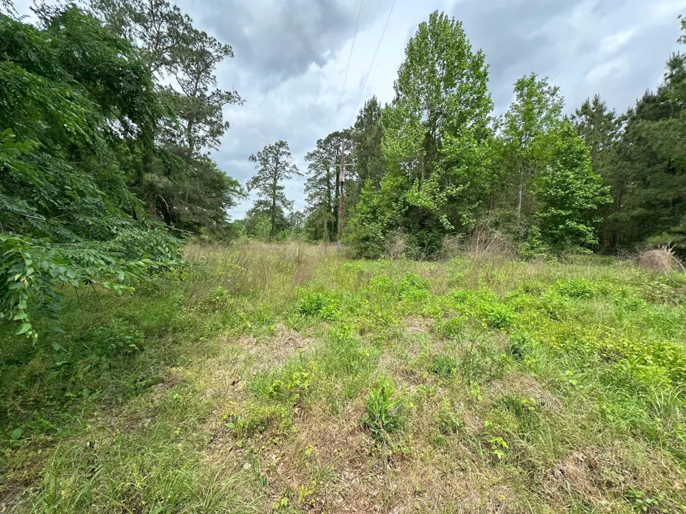5782 E Us Highway 287 Woodlake, TX 75865
