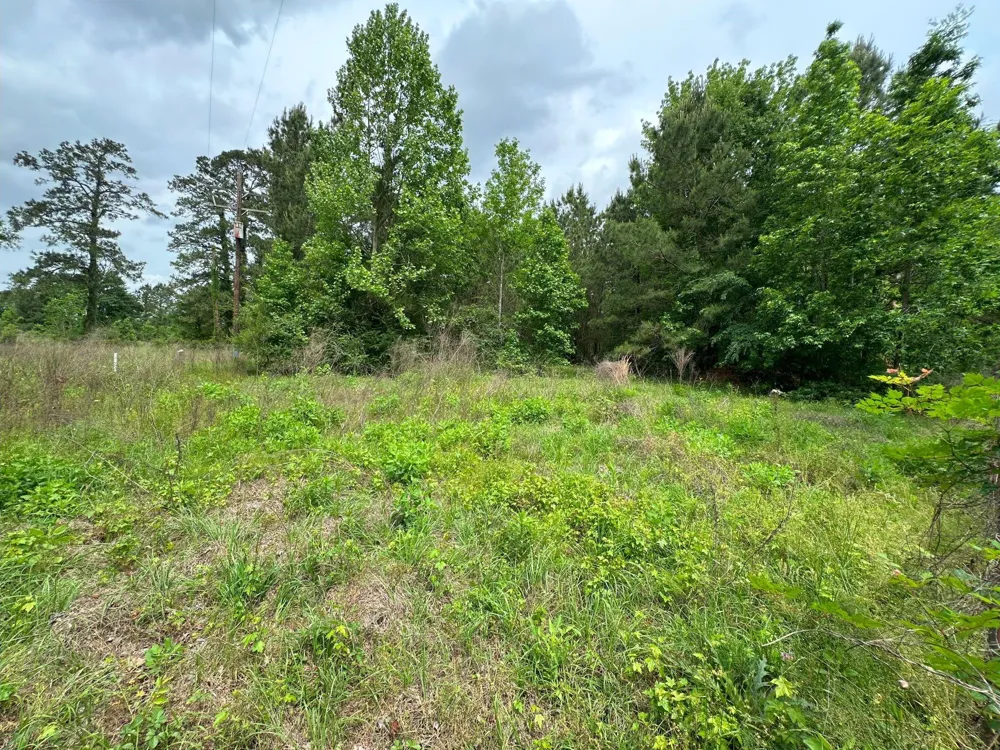 5782 E Us Highway 287 Woodlake, TX 75865